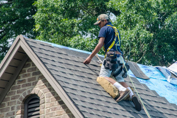 Roof Gutter Cleaning in Patchogue, NY